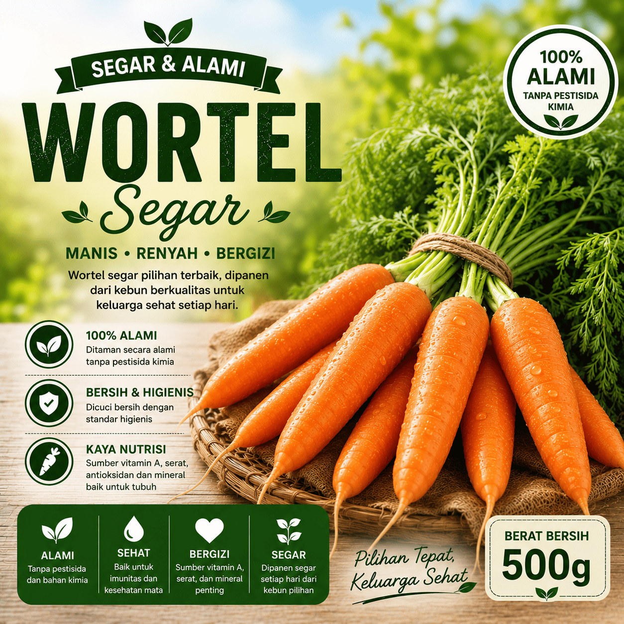 Wortel Segar
