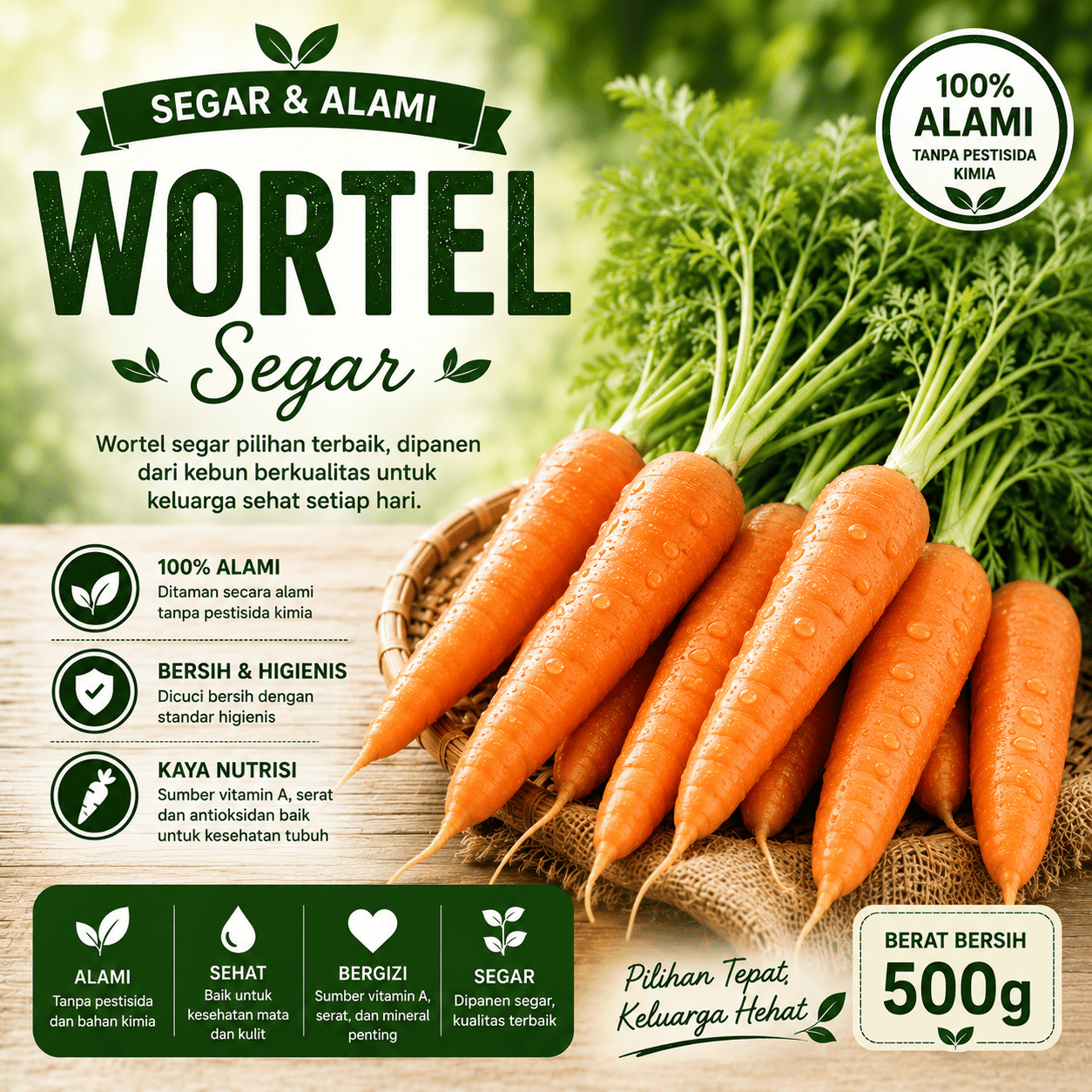 Wortel Segar