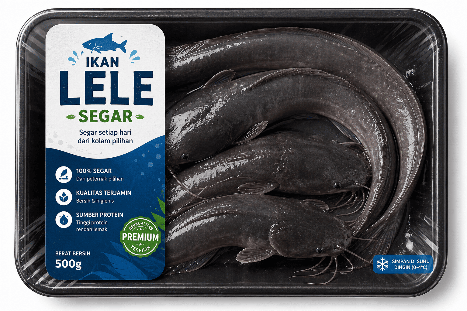 Ikan Lele Segar