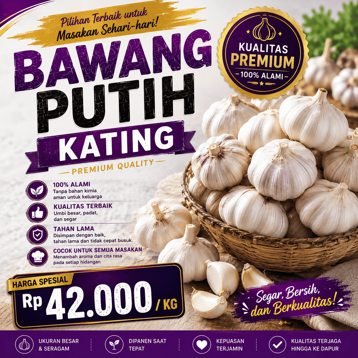Bawang Putih Kating