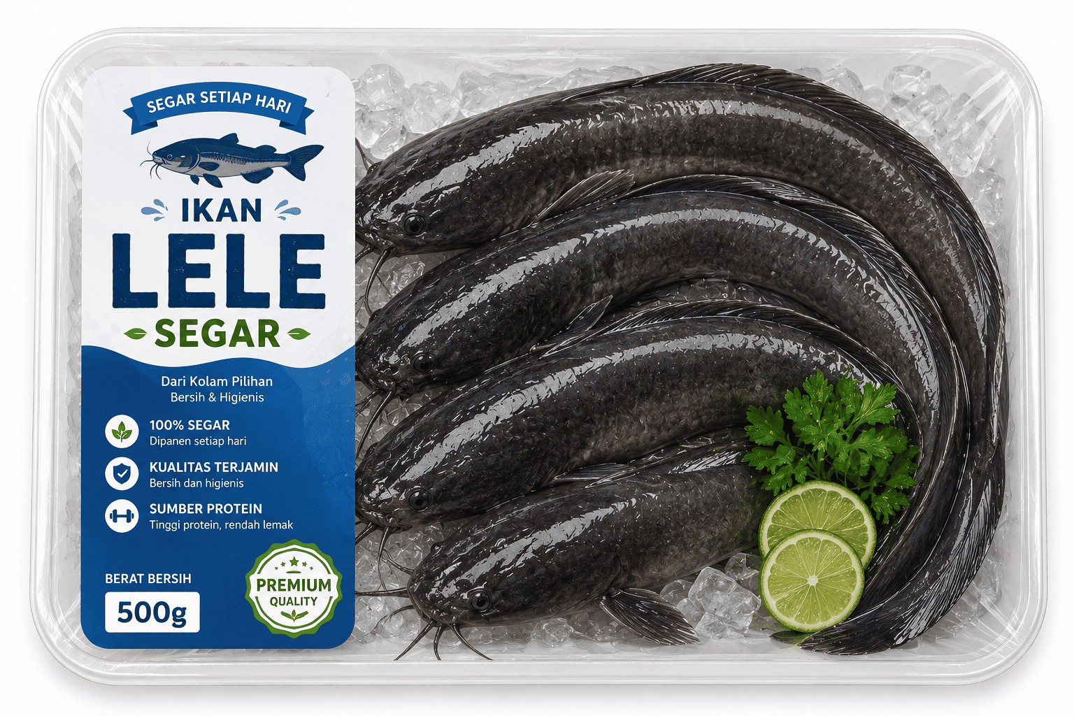 Ikan Lele Segar